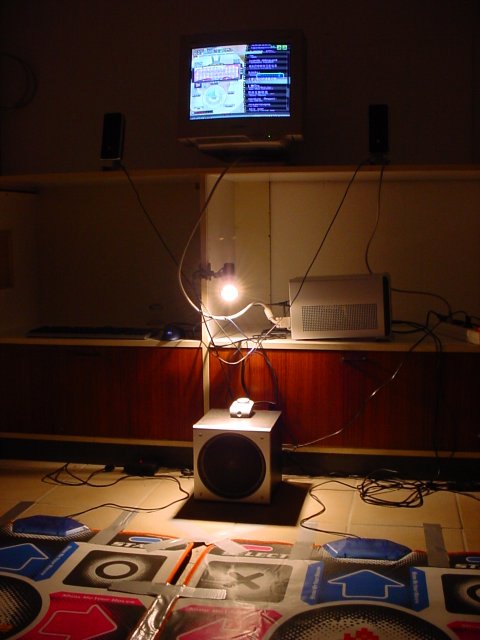 Bild